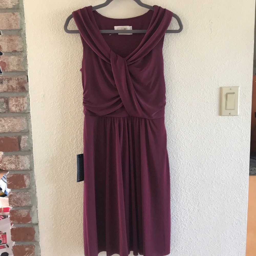 Ann Taylor Burgundy Dress NWT